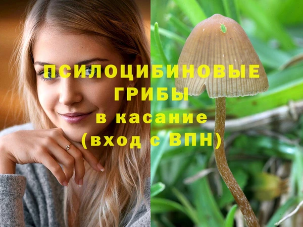 mdma Вязьма