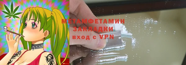 сатива Горняк