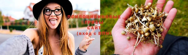 mdma Вязьма