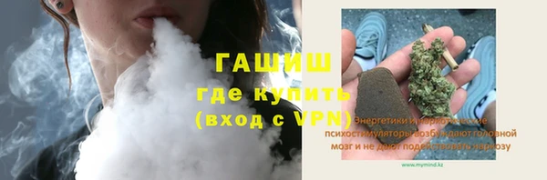 сатива Горняк