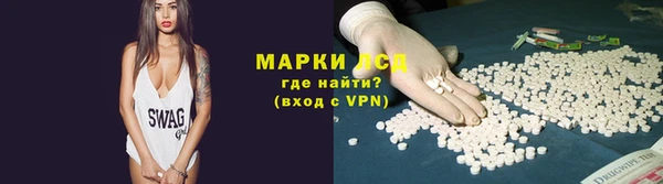 стаф Вязники