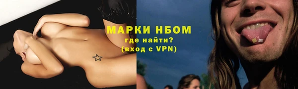 эйфоретик Вяземский