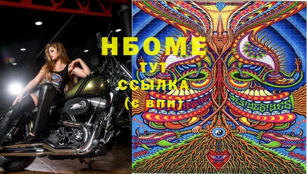 сатива Горнозаводск