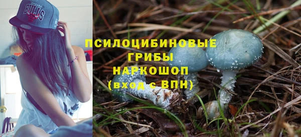 стаф Вязники