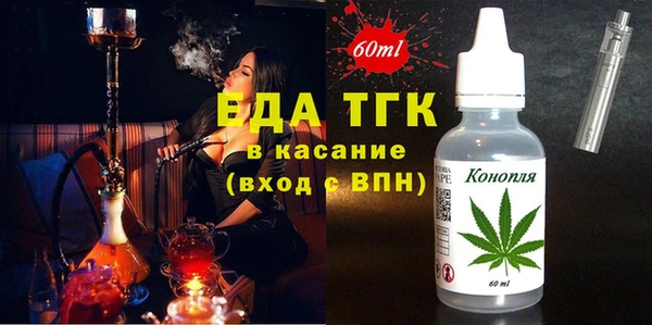 эйфоретик Вяземский