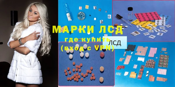 сатива Горняк
