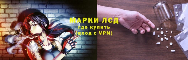 стаф Вязники