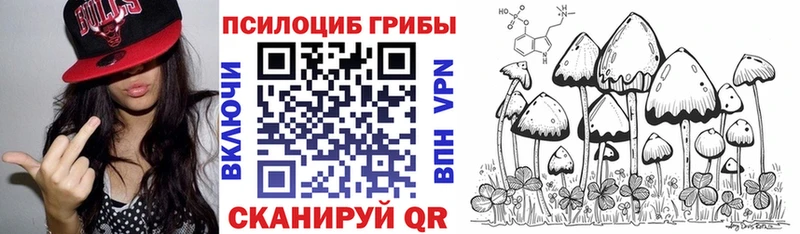 Купить  Пласт  Псилоцибиновые грибы Magic Shrooms 